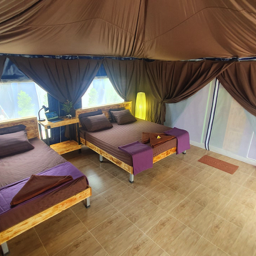<span lang=th>ห้องเต้นท์พัก 3 ท่าน</span><span lang=en>Triple Tented Room</span>
